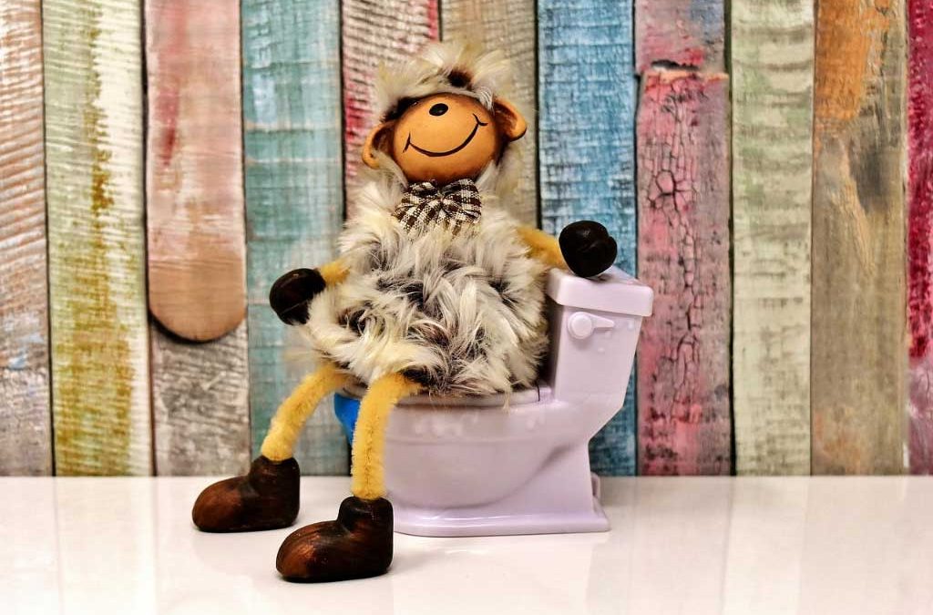 Güney Tesisat > Tuvalet Tıkanıklığı Açma